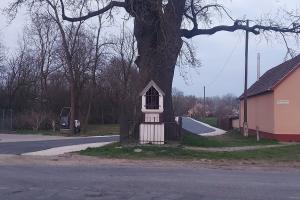 Pályázat